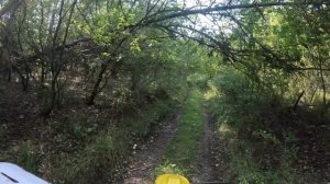 Sur-Ron Storm. Лайт-эндуро. Встретил косуль