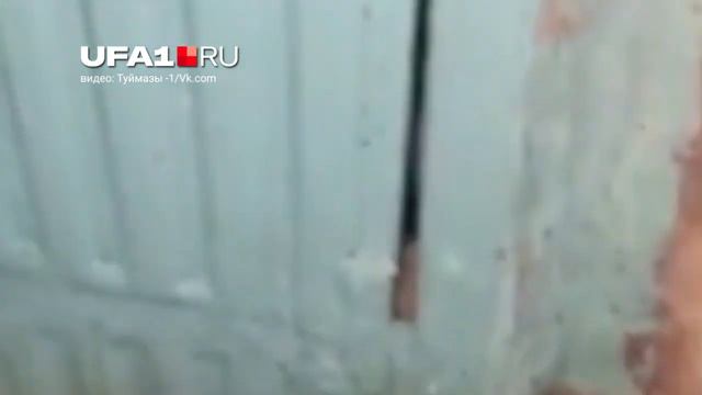 Нашествие насекомых в Туймазах смотреть онлайн