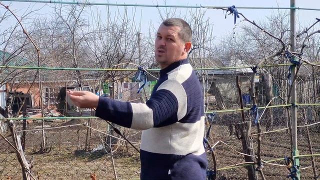 У нас первая весенняя обработка сада и роз. смотреть онлайн