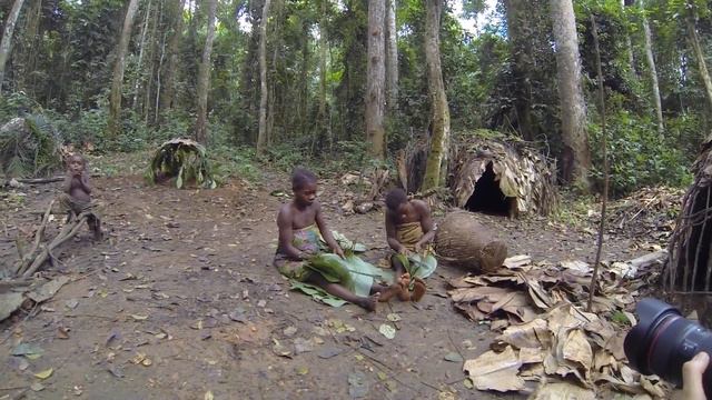 Фототур в Камерун - пигмеи и шимпанзе