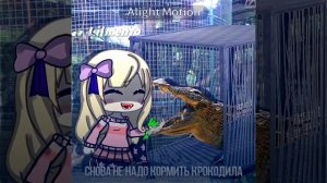 красная плесень - Диско 90-х ( ВСЕ КУПЛЕТЫ) от lil Mento ?