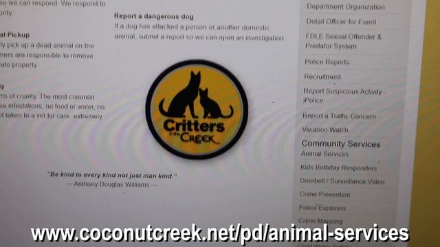 Meet Your New Animal Services Officer - Terra Johnson смотреть онлайн