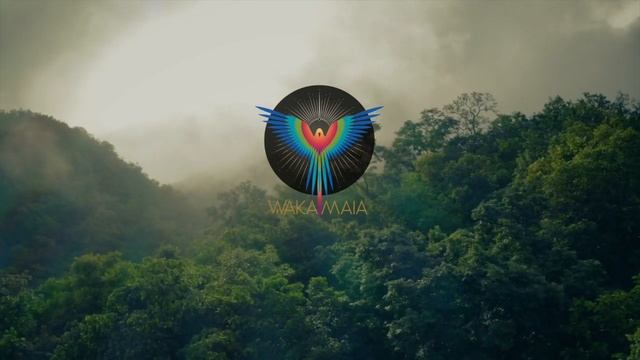 Bali Lockdown ~ Ecstatic Dance 2021 смотреть онлайн