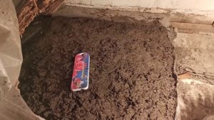 Выращиваем грибы круглый год! Делаю теплицу для шампиньонов