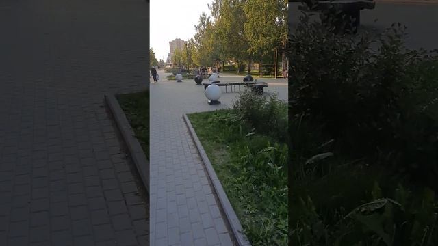 25 июня 2023 г. вечерняя прогулка по Древлянки.Петрозаводск. смотреть онлайн