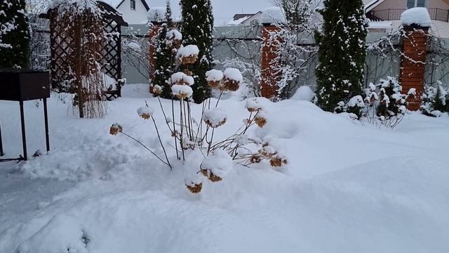 Последствия снегопада. Сад в январе. смотреть онлайн