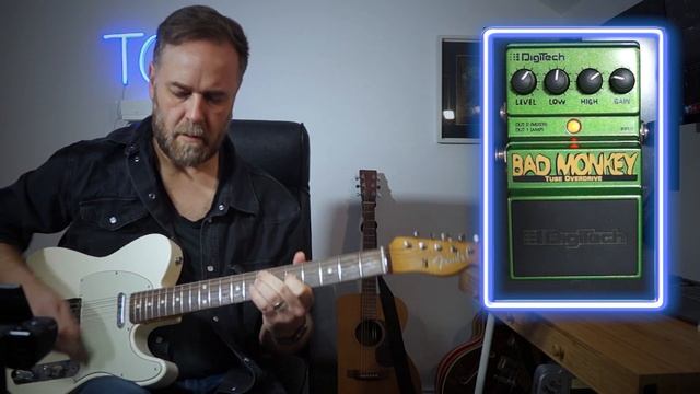 Digitech Bad Monkey. Is it really all that? смотреть онлайн