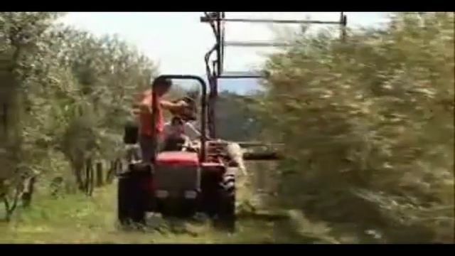 Производство органической облепихи для Weleda смотреть онлайн