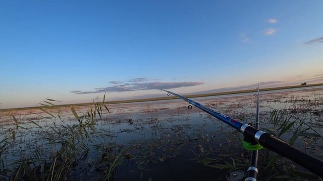 Рыбалка в Северном Казахстане,болото Жарколь,ловим карася и готовим уху!!! смотреть онлайн