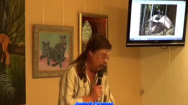 Андрей Скляров: «Пробелы в истории Японии» смотреть онлайн