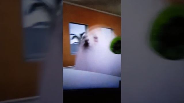 собака яйцо повари ? # Катя пикачушка смотреть онлайн