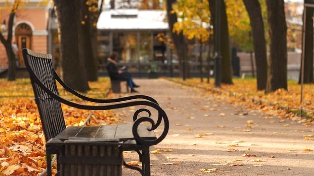 Видеосъемка. Видеомонтаж. СПб. Санкт-Петербург. смотреть онлайн