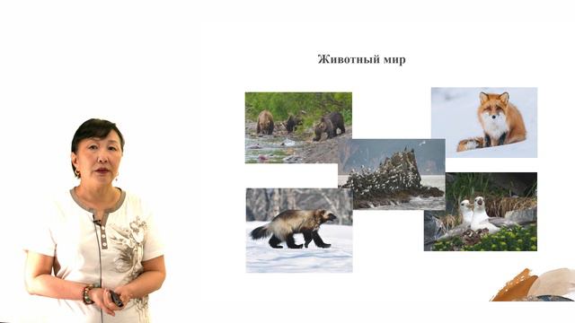 13 тема смотреть онлайн