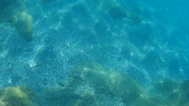 Рыбки в Средиземном море смотреть онлайн