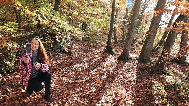 Бавария. Осень. Прогулка по берегу озера Штарнберг. смотреть онлайн