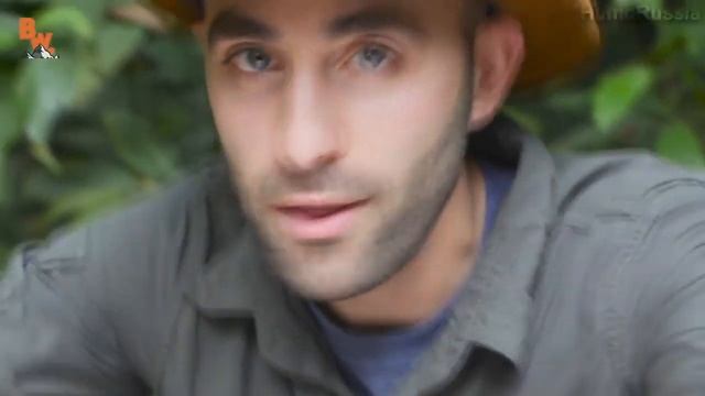 B. W. Укус Муравья Пули!!! смотреть онлайн