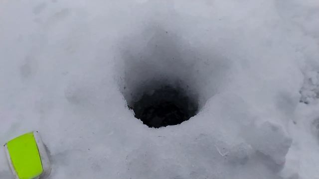 ТАКОЙ КРУПНОЙ ПЛОТВЫ Я ЕЩЕ НЕ ЛОВИЛ! Зимняя рыбалка 2022. Безмотылка МОТЫЛЬ и ГВОЗДЕШАРИК? смотреть онлайн