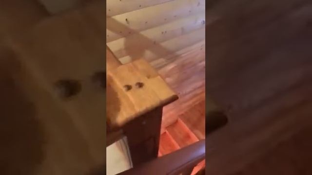 Деревянная лестница видео отзыв смотреть онлайн