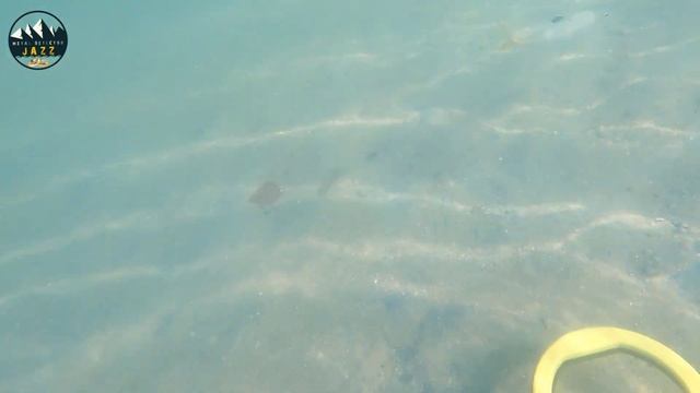 I found valuable item while snorkeling using my Pulse Dive ( Metal Detector ) смотреть онлайн
