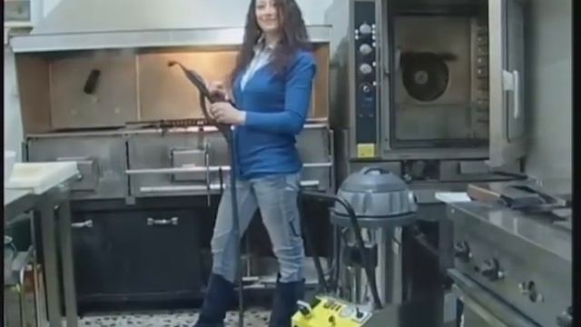 Химчистка ковров, диванов и пр. паром Bieffe Clean Vapor Junior смотреть онлайн