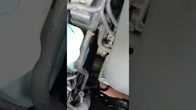 Разборка Volkswagen - Golf 4 1997-2005, 2.0 (VIN: WWWZZZ1JZYW21525) 26853 смотреть онлайн