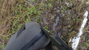 Ловля Щуки на Джерки осенью на малой реке. Рыбалка в Ленинградской области на Спиннинг на Джеркбейты