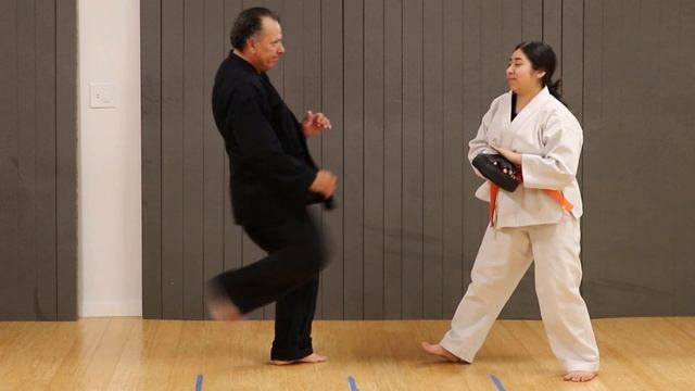 Kenpo Karate - Kick set 1 (Front Snap KicK) смотреть онлайн