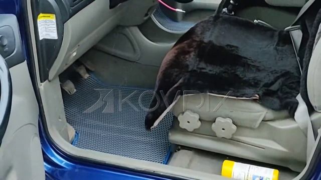 Chevrolet Rezzo с автоковрами от Kovrix смотреть онлайн