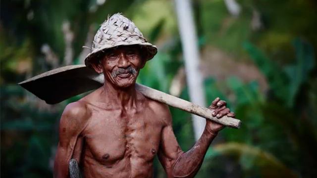 Andara Yaye Karaoke (without voice) අන්දර යායේ වැව්තාවුල්ලේ смотреть онлайн