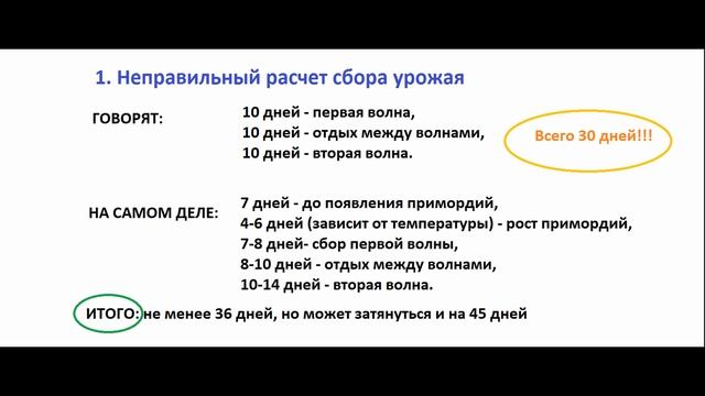Грибной бизнес: выгодно или нет? Стоит ли покупать оборудованное помещение для выращивания вешенки. смотреть онлайн