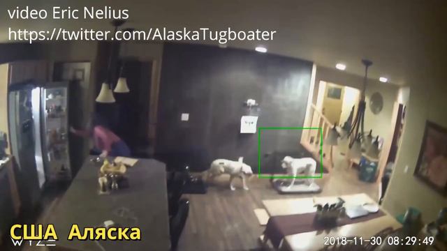 Сильное землетрясение 7,0 на Аляске!!! Severe earthquake 7.0 in Alaska !!! смотреть онлайн