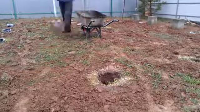 Трамбовка смотреть онлайн