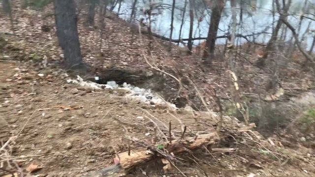 1st Milwaukee Chainsaw work смотреть онлайн