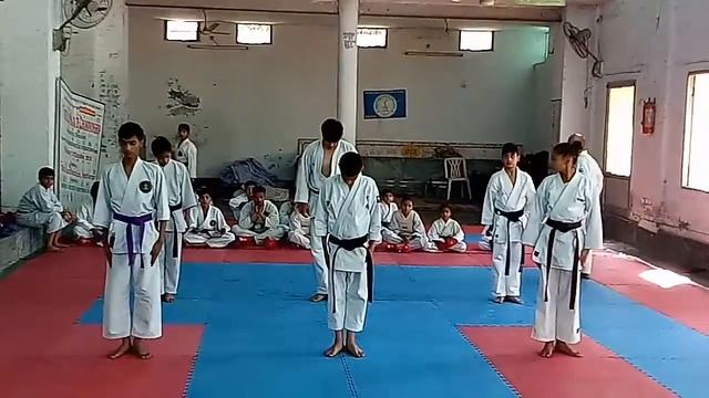 Different VDOs Of Training at Jagmohan's Institute Of Traditional Karate(37) смотреть онлайн