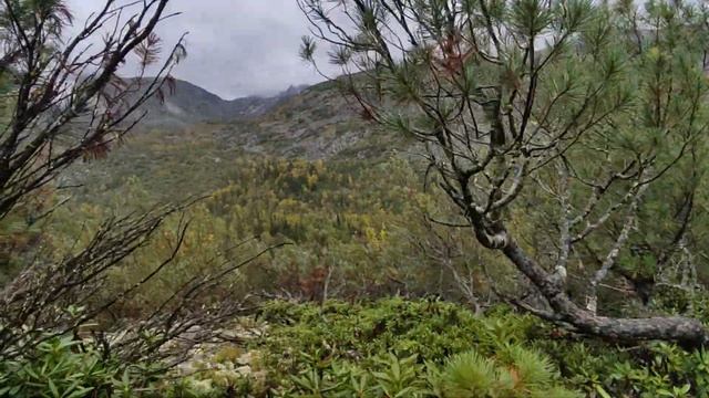 ТУНДРА: АДСКИЕ УСЛОВИЯ | СПУСКАЮСЬ В ТАЙГУ | ОЗЕРО УКОИНДА (Баргузинский хребет - Байкал #12) смотреть онлайн