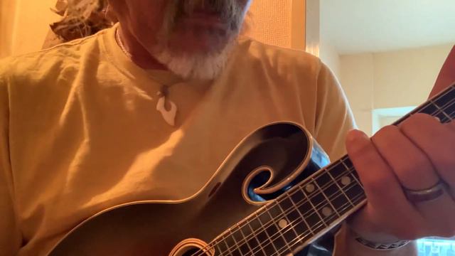 While My Mandolin Gently Weeps #BGM #Instrumental #mandolin #マンドリンソロ #Selfstyle смотреть онлайн