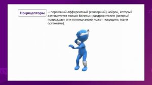 Биология. 8 класс. Рецепторы, расположенные в теле человека /12.03.2021/