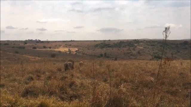 Притча о том, как разум побеждает силу смотреть онлайн