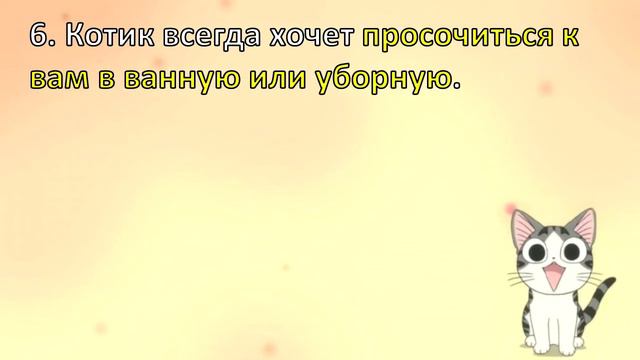 12 признаков того, что ваша кошка без ума от вас смотреть онлайн