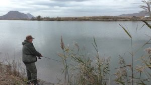 КЕТА КЛЮЁТ!!! ЛОВИМ НА ТАСМАНСКИЙ ДЬЯВОЛ!!!