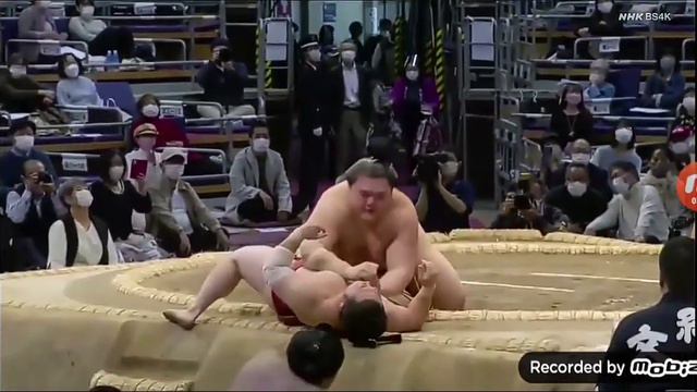 Нарезка про энхо ( 2 часть) смотреть онлайн