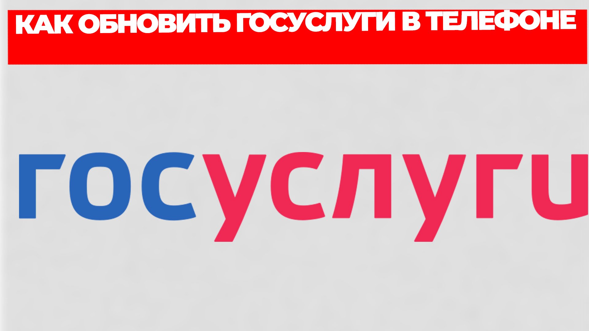 Всезнающий Енот