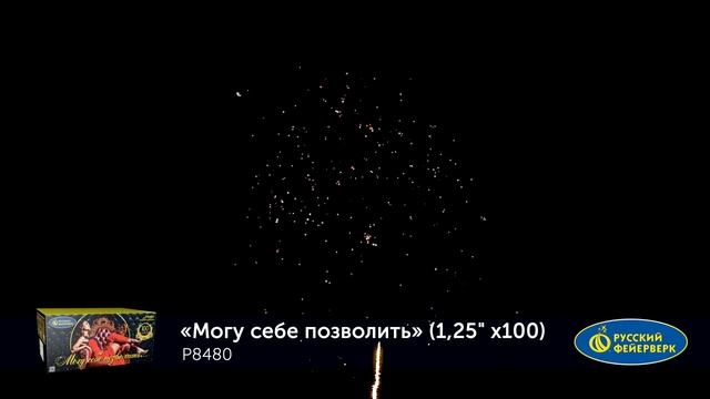 P8480 Салют "Могу себе позволить" смотреть онлайн
