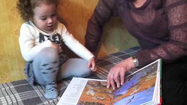 Лиза изучает животных по энциклопедии - март 2013 смотреть онлайн