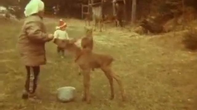 Лосики (1991) смотреть онлайн