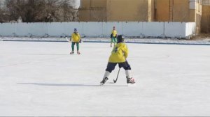 ХОККЕЙ С МЯЧОМ