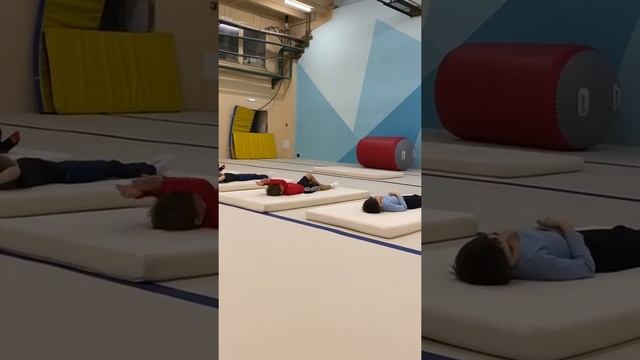 Основы физ подготовки в детской акробатике.школа акробатики 1 смотреть онлайн