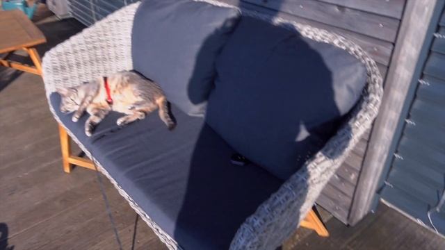 100 оттенков Швейцарской погоды?| новый Макбук| Пересаживаю цветы? #жизньвшвейцарии #швейцария2021 смотреть онлайн