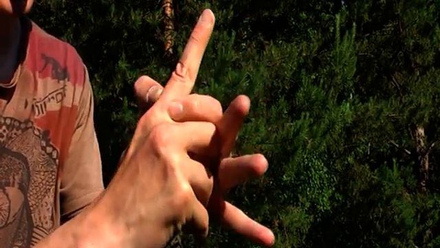 Мудра Рудры