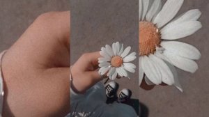 face- Забирай все что хочешь